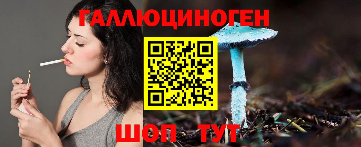 Галлюциногенные грибы мухоморы Костомукша