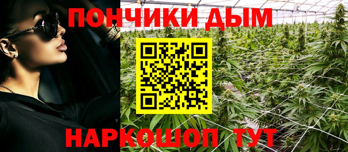 Бошки Шишки THC 21%  Вход с VPN  Каннабис планчик  Костомукша  МАРИХУАНА сатива 
